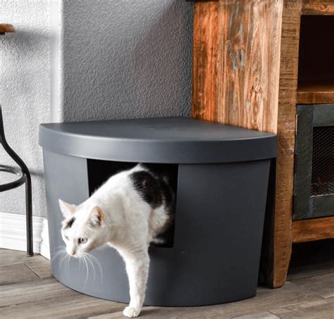 How To Disguise A Litter Box Design Morsels
