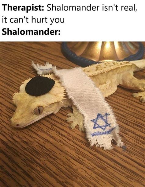 Shalomander Isn T Real He Can T Hurt You Skull Cow Isn T Real It Can T Hurt You Know Your Meme