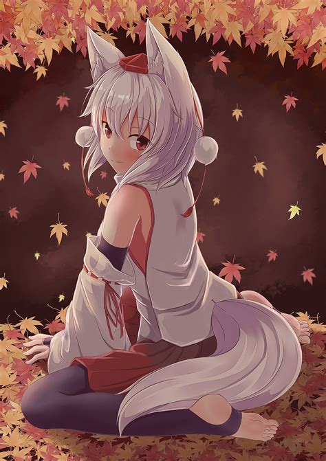 Kawaii Anime Girl Wolf Hot Sex Picture