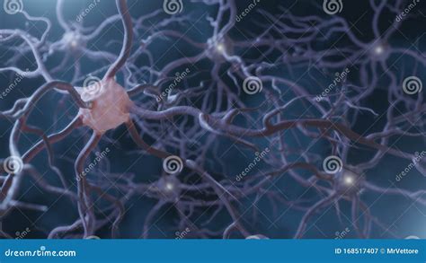 Neuronal And Synapse Activity Neurons In The Head Neuroactivity