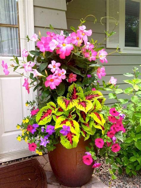 Cool 50 Spectacular Container Gardening Ideas Source Link Https