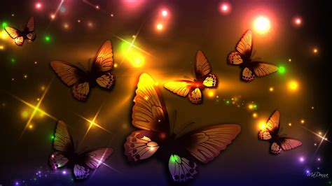 Butterfly Background Hd