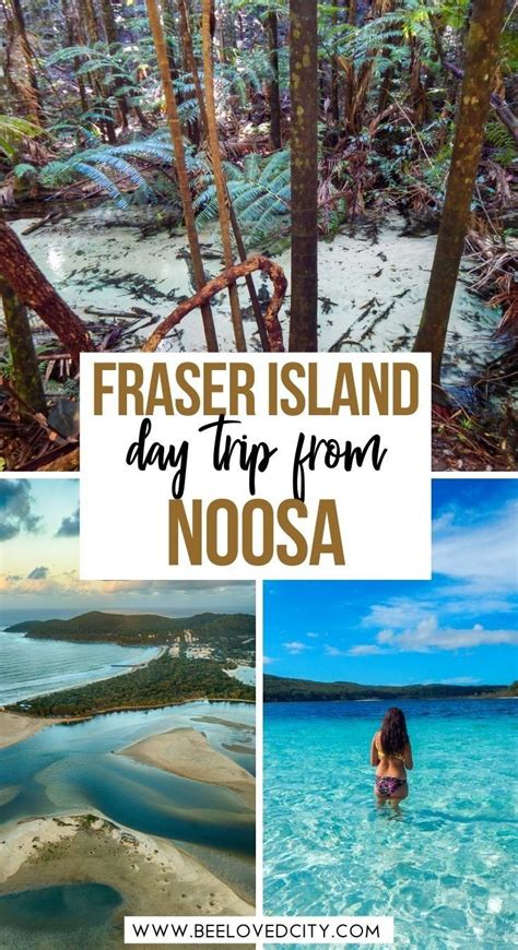 Queensland Australia Travel Fraser Island Australia Noosa Australia