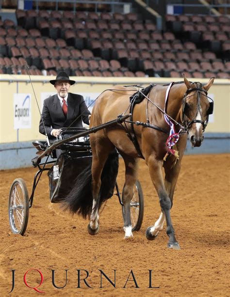 Junior Pleasure Driving Must Be A Hot One And Brian Holmes 2015 Aqha