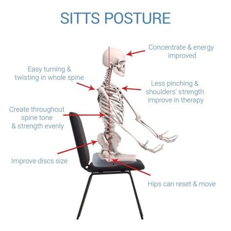 Posture Correction Cushion For Back Support Sitts