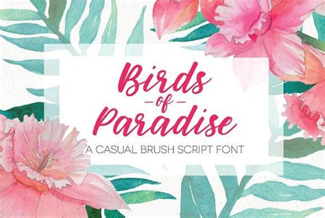 Birds of paradise by copyright (c) 2014 by script house ¨. Birds of Paradise Brush Script | Brush script, Birds of ...