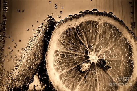 Lemon Slices In Fizzy Water Old Style Photograph By Simon Bratt Pixels