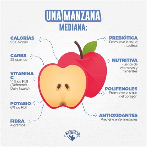 Propiedades Y Beneficios De La Manzana Fullmusculo