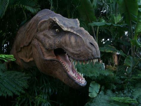 Tyrannosaurs Might Have Enjoyed Making Out Before Sex Atlas Obscura