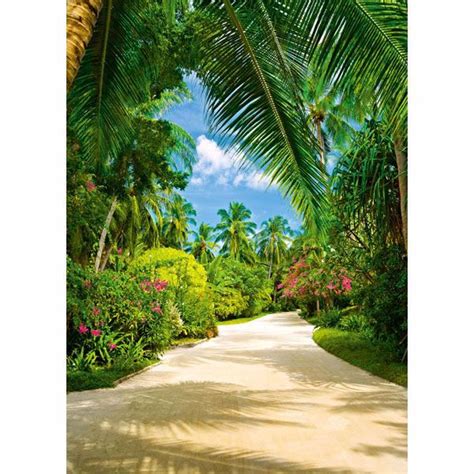 Tropical Pathway Wall Mural Dm438 Tropical Pathway Photomural