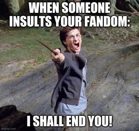 When One Insults Your Fandom Imgflip