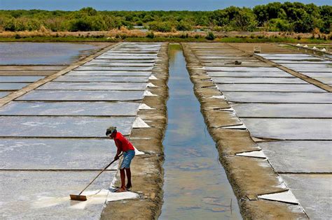 Lack Of Capital Bedevils Philippines Salt Farmers Abs Cbn News