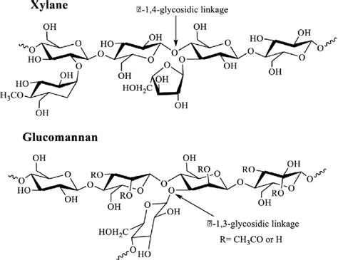 4 Structure Of Hemicellulose Download Scientific Diagram