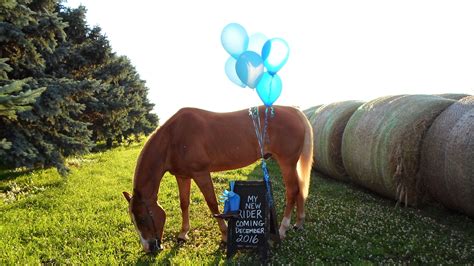 The moment you find out the gender of your baby is magical! Gender reveal with horse #horse #genderreveal #babyboy | Gender reveal baby shower themes, Baby ...