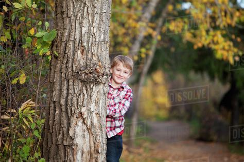 Young Boy Hiding Behind A Tree In A Park In Autumn; Edmonton, Alberta ...