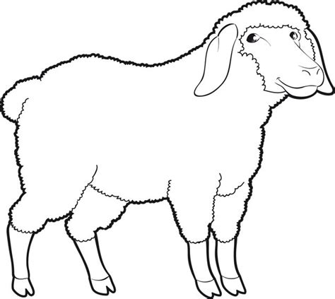 Coloriage Un Mouton Vorlagen