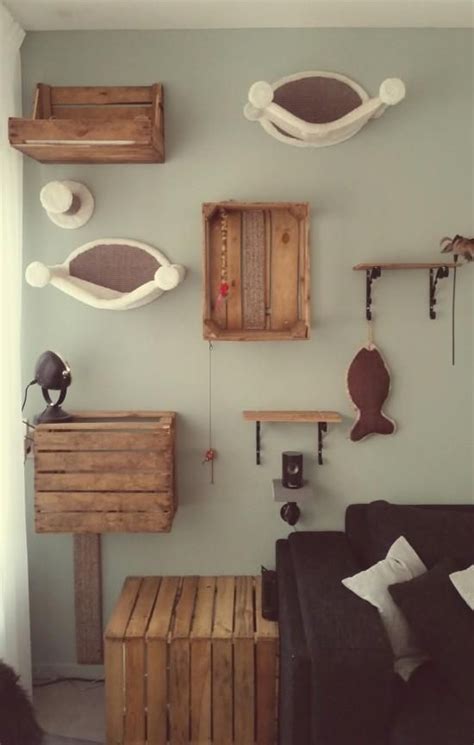 Collection by maryanne /h • last updated 2 weeks ago. Image result for cat room ideas | Cat room, Cat climbing ...