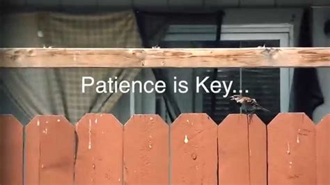 Patience Is Key Youtube