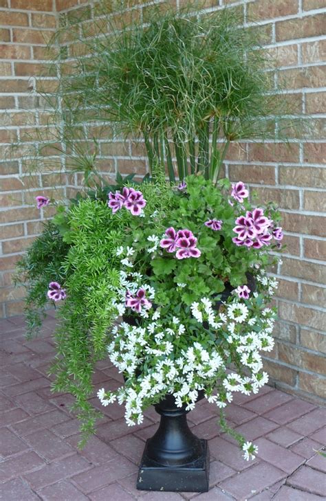 1000 Images About Urn And Planter Ideas On Pinterest