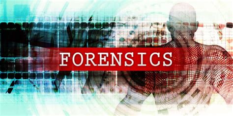 Forensic Expert Witness Expert Witness In All Forensic Fields