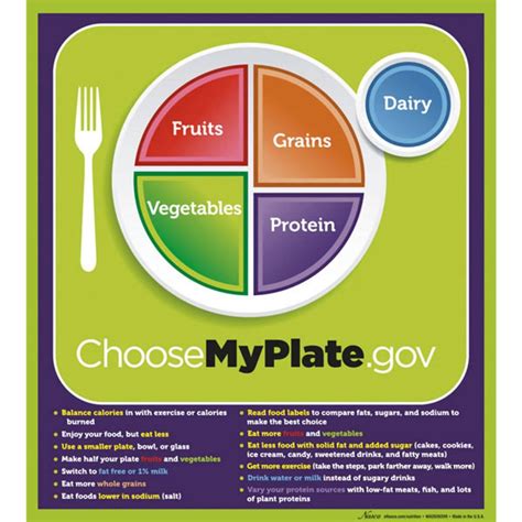 Myplate Guidelines Tear Pad