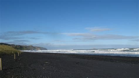 The Black Sand Beach At Muriwai Carl And Viks Travels
