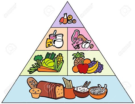 Food Pyramid Review Other Quiz Quizizz