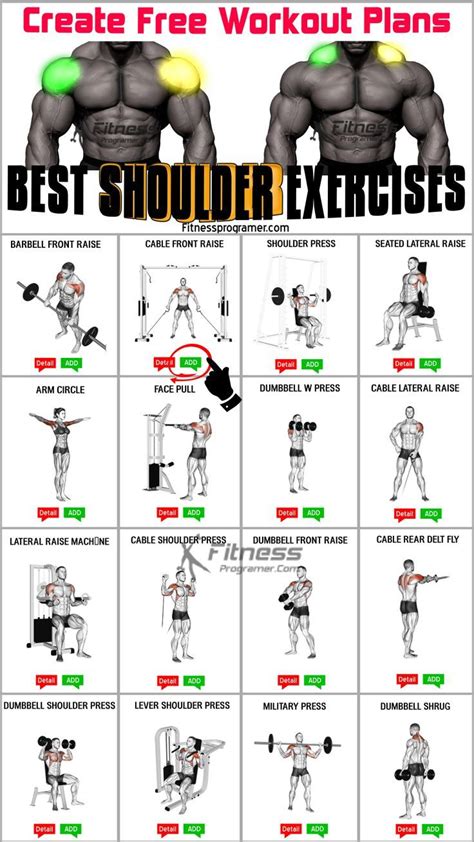 Shoulder Exercises For Strength And Muscle Building Best Shoulder