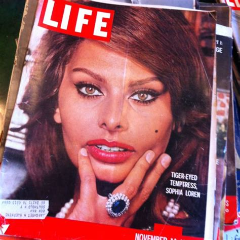 Sophia Loren Life Magazine Cover News Magazines Vintage Magazines