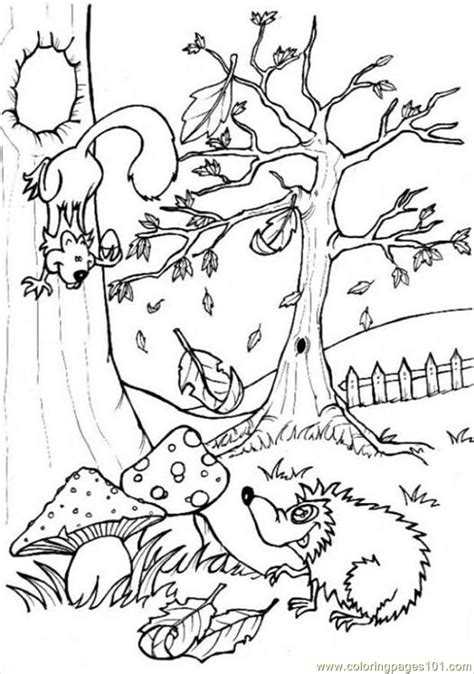Forest Habitat Drawing At Getdrawings Free Download