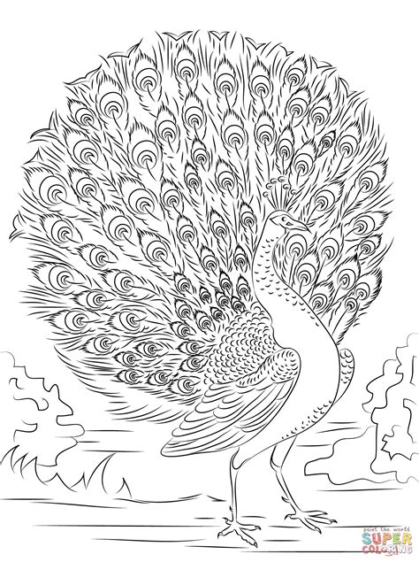Advanced Coloring Pages Free Coloring Home