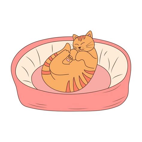 Premium Vector Cute Cat Sleeping In Cat Bed In Doodle Style Sleepy