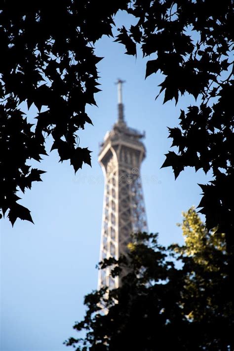Breathtaking Shot Of The Eiffel Tower In Paris Through The Green Leaves