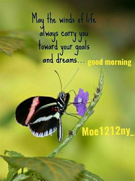 Good Morning Butterfly Quotes Inspirational Quotes Wonderful Words