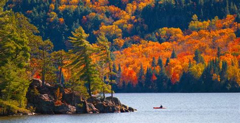 best places to see beautiful fall foliage in ontario over the weekend daily hive toronto