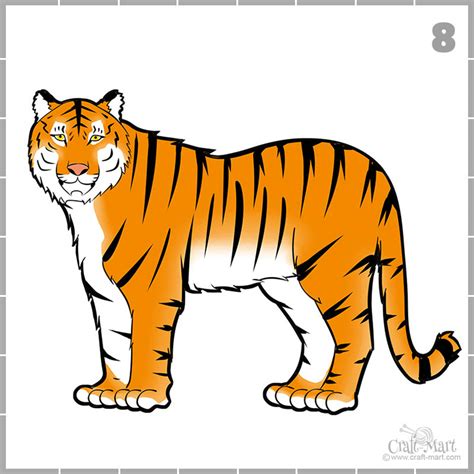 How To Draw A Easy Tiger Cub