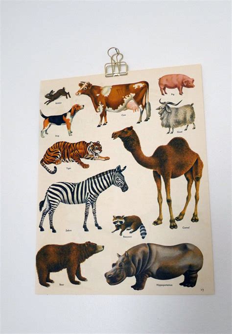 Vintage Animal Print By Dellaandco On Etsy Animal Print Animals Etsy