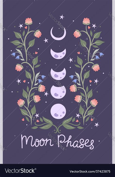 Moon Phases And Flowers On A Purple Background Vector Image