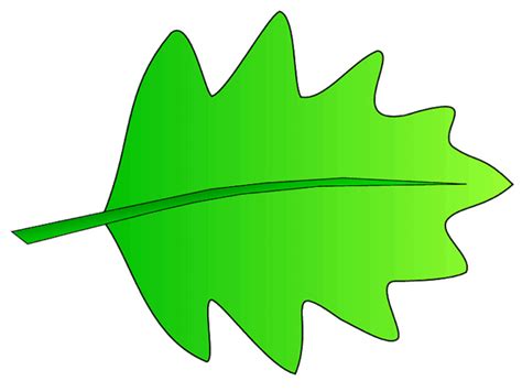 Green Leaves Clip Art Clipart Library Free Clipart Images Clip