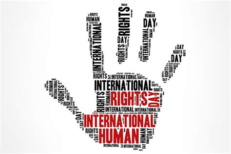 Online Courses In Human Rights New Paid Internships 2024