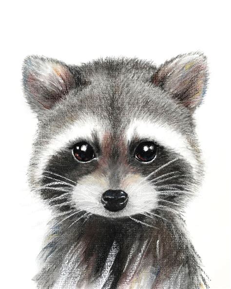 Baby Raccoon Print For Nursery Printable Woodland Animal Etsy