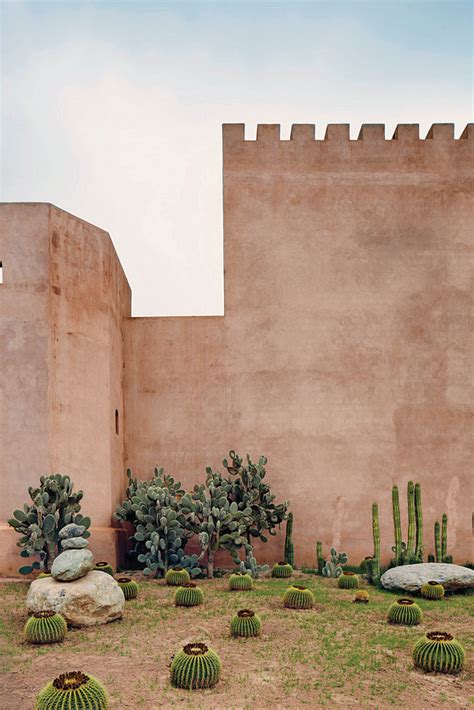 Lemon & soul hotel cactus garden also features a terrace, laundry facilities, and beach/pool umbrellas. my head space: Outskirts of Time in Morocco