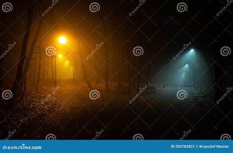 Night At The Foggy Park Crossing Of Pathways Stock Image Image Of