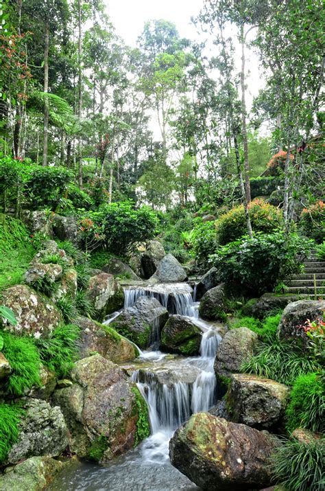 A Mini Waterfall At Japanese Garden Garden Waterfall Mini Waterfall