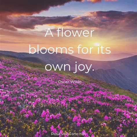 Joy Quotes 10 Inspiration Quotes About Joy