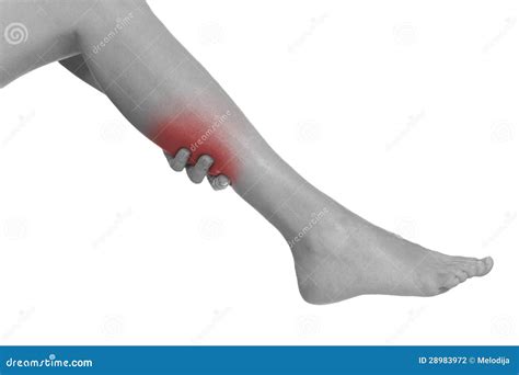 Acute Pain In A Woman Calf Stock Photo Image Of Pressure 28983972