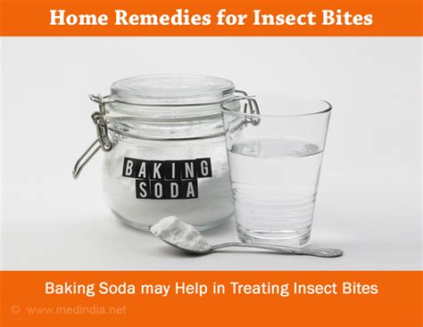 Home Remedies For Insect Bites