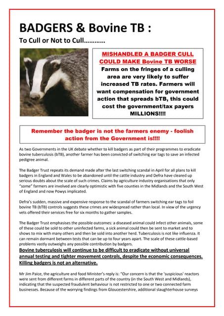 Badgers And Bovine Tb To Cull Or Not To Cull Pdf