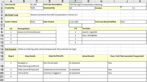Download Sample Test Case Template With Explanation Of Important Fields