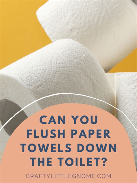 Can You Flush Paper Towels Down The Toilet Lockdown Loo